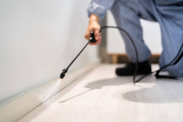 Rodent Entry Point Assessment in Palmdale