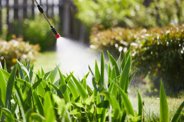 Tamper-Resistant Bait Stations for Rodents in Palmdale