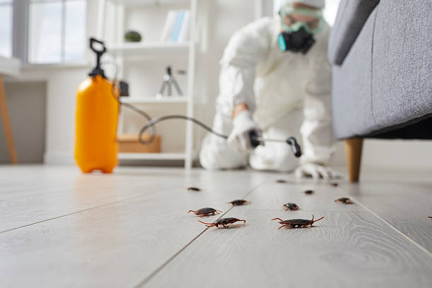 Commercial Rodent Management in Palmdale